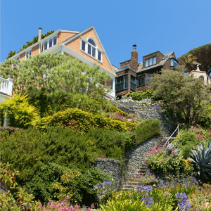 houses surrounded by a garden in California