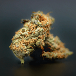 green cannabis flower with trichomes and orange pistils against a black background