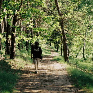 woman walking along a park trail with overhanging trees