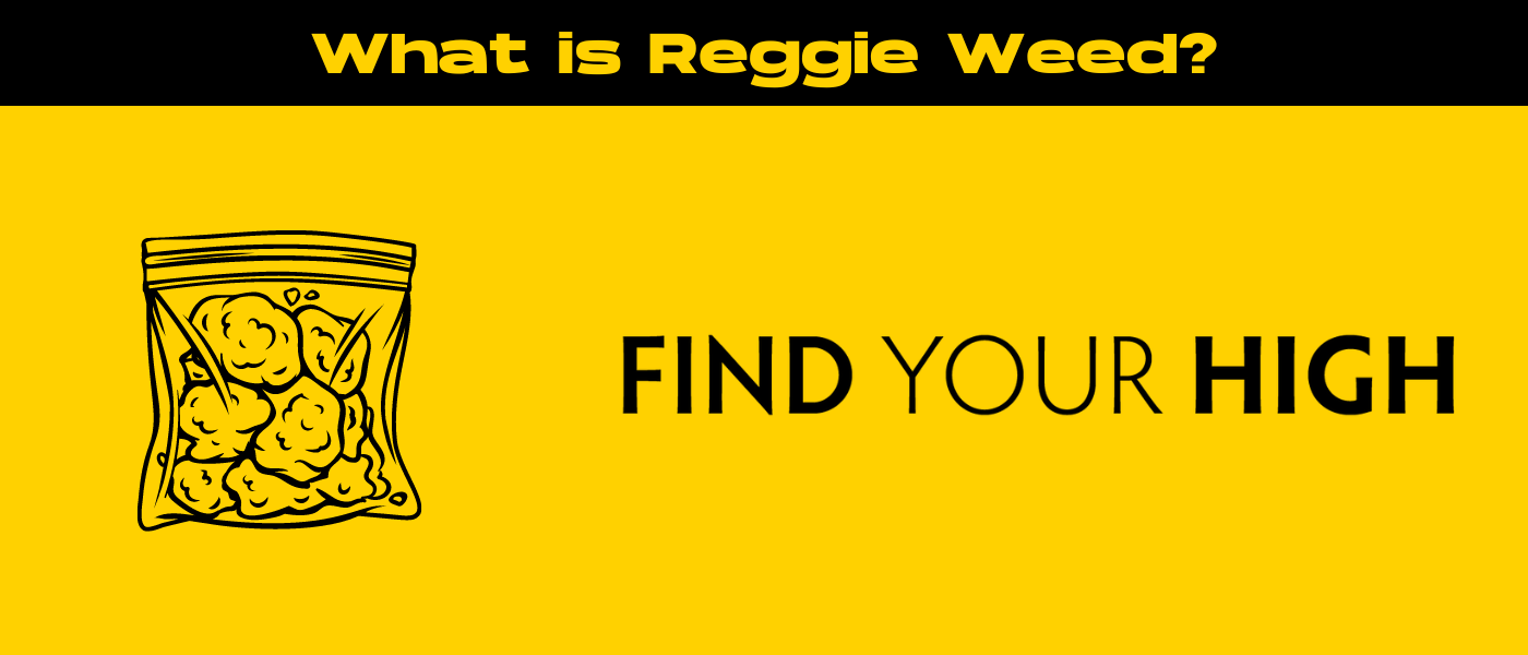 black and yellow banner image for reggie weed blog