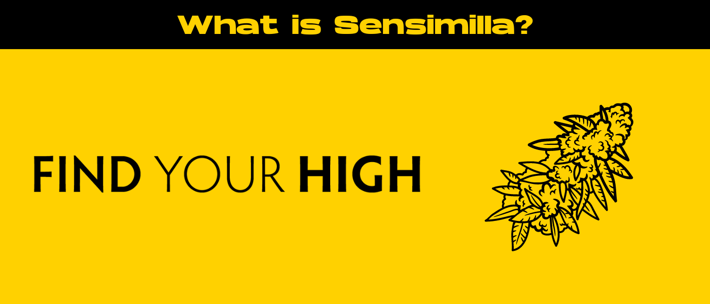 black and yellow banner image for sensimilla blog