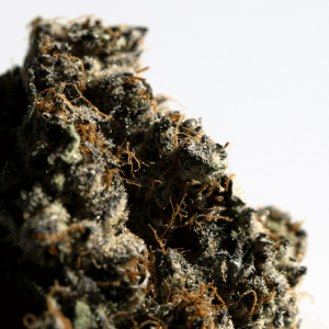 up close image of weed bud against white background