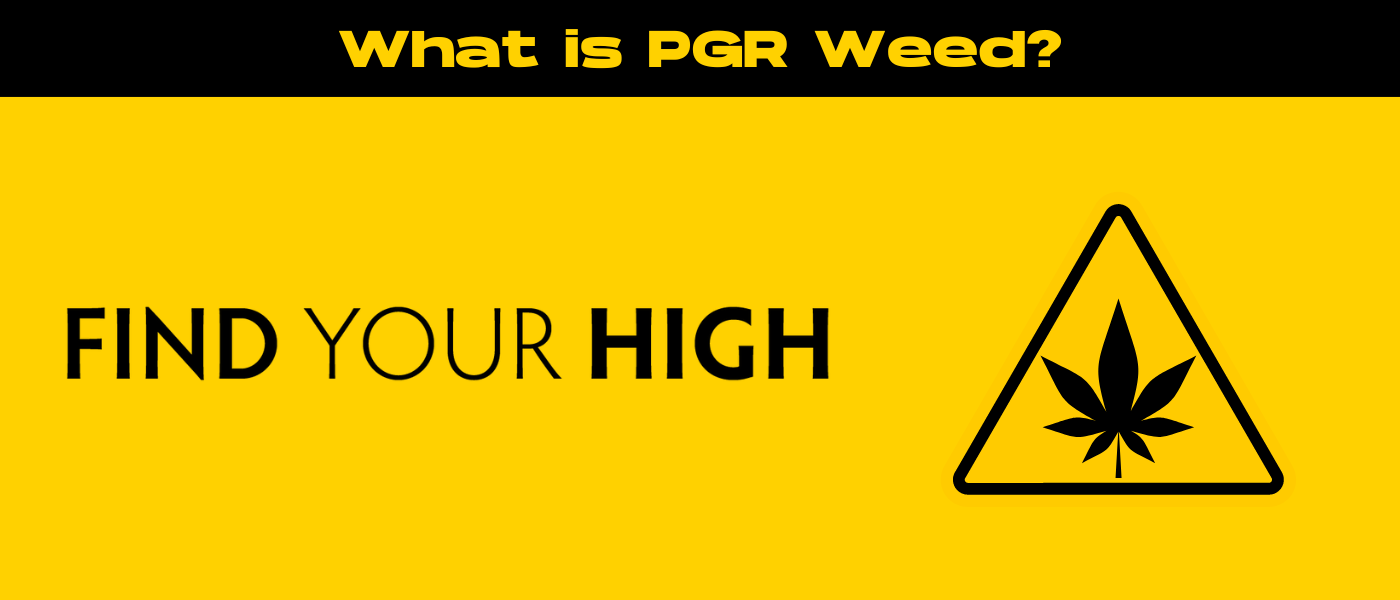 black and yellow banner image for pgr weed blog