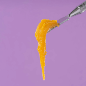 yellow cannabis budder against a purple background