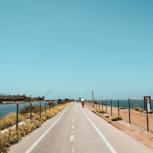 bike trail near water