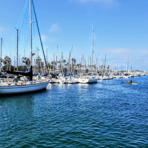 white and blue boats on ocean during daytime