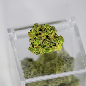 green nug on a glass case 