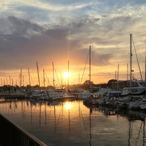 marina del rey harbor at sunset