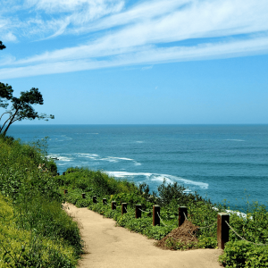 a path leading to the ocean on a sunny day