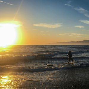 person at beach on sunset in marina del rey california