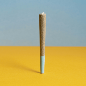 a single pre-roll against a blue and yellow background