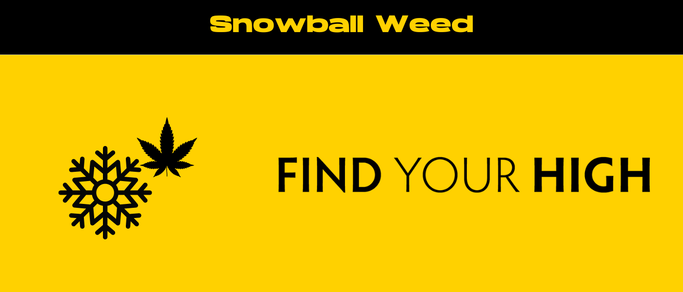 black and yellow banner image for snowball weed blog