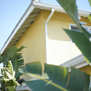 a yellow house surrounded by palm leaves