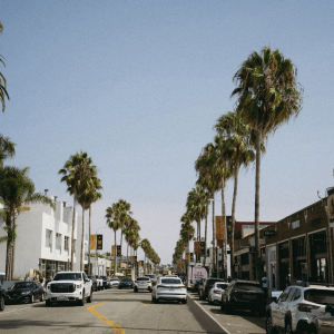 Abbot Kinney Blvd