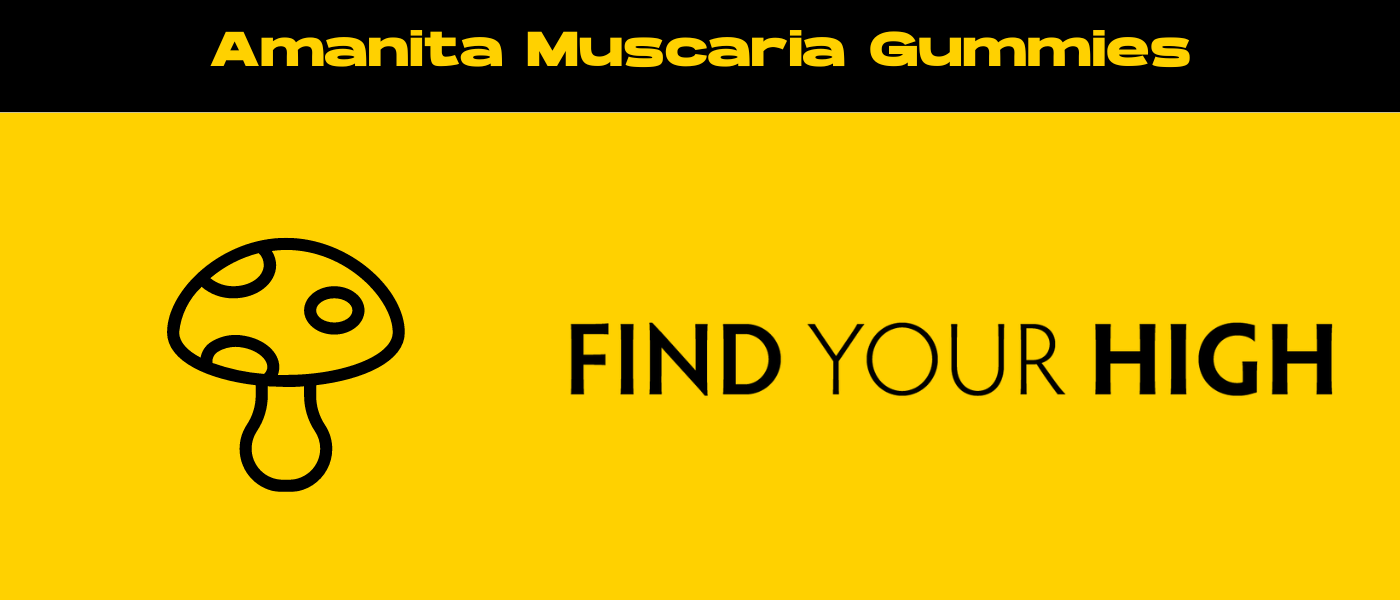 black and yellow banner image for amanita muscaria gummies