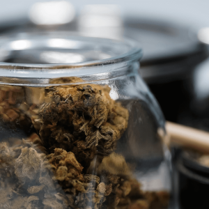 hemp buds in a glass jar