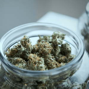 cannabis flower in a large glass jar