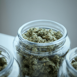 green cannabis buds in a glass jar