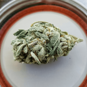 green cannabis bud on a white, orange, and metal surface