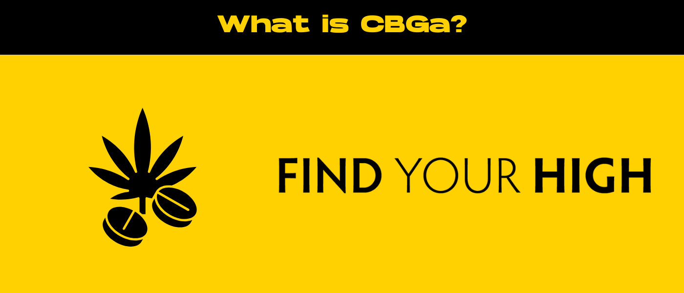 black and yellow banner image for cbga blog