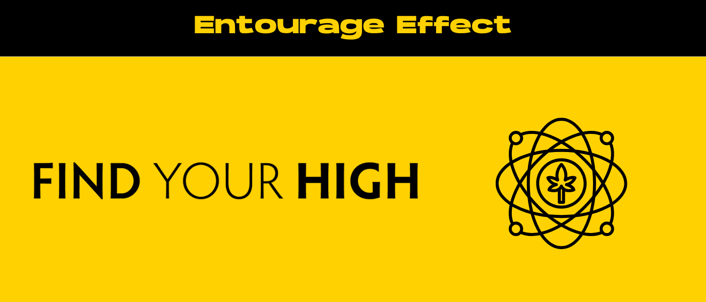 black and yellow banner image for entourage effect blog