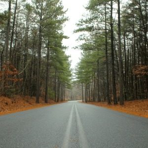 autumnal road in North Carolina