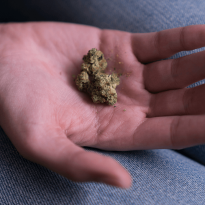 a hand holding a cannabis bud