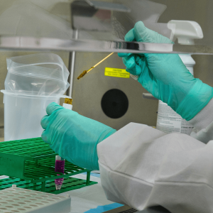 scientist using a swab