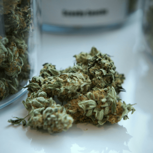 cannabis buds next to a glass jar