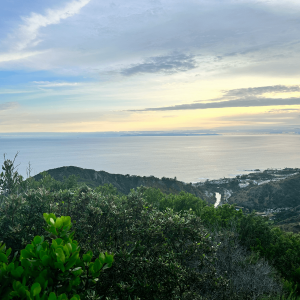 a view of the ocean from a hill