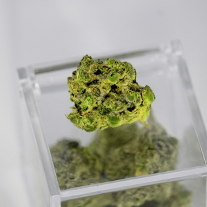 cannabis flower on glass case