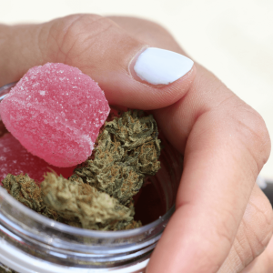 hand holding pink gummies and cannabis flower