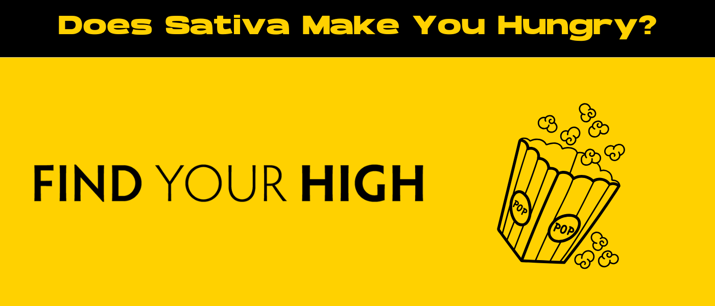 black and yellow banner image for does sativa make you hungry blog