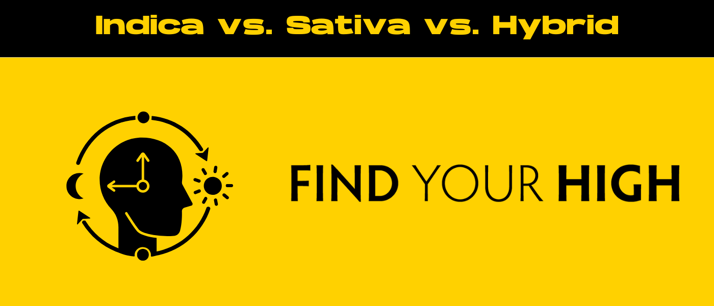 indica vs sativa vs hybrid blog image
