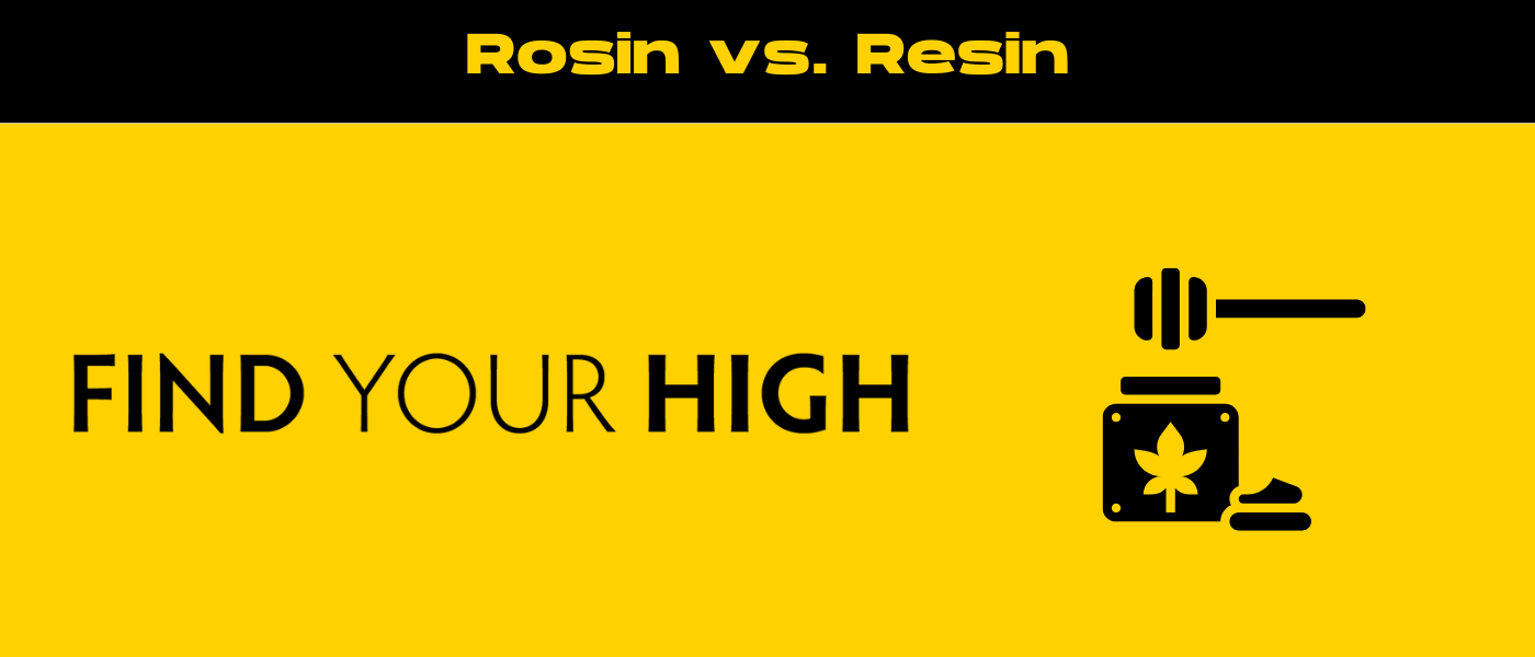 black and yellow banner image for rosin vs resin blog