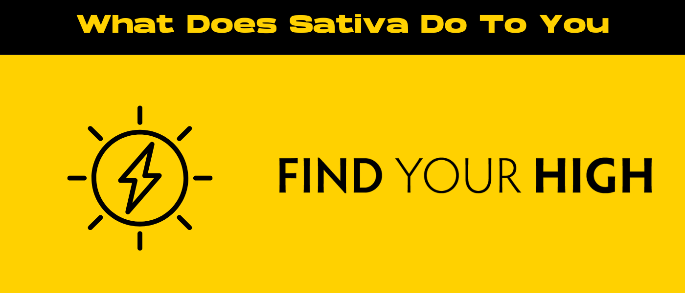 black and yellow banner image for what does sativa do to you blog