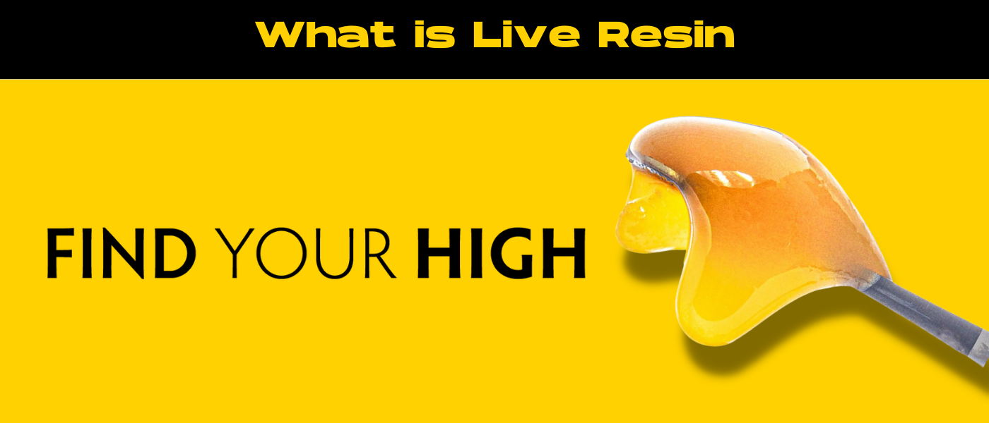 black and yellow banner image for what is live resin blog