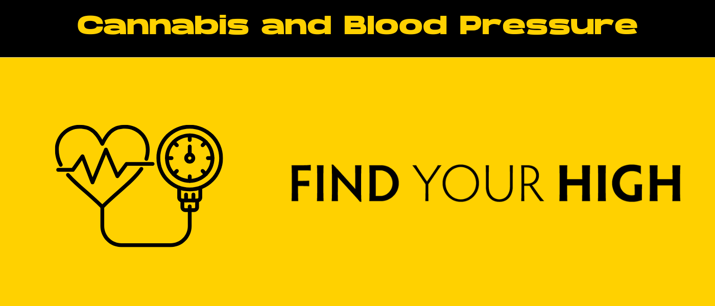 black and yellow banner image for does cannabis reduce blood pressure blog