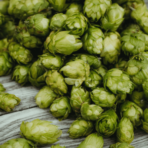 green hops