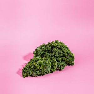 cannabis flower against pink background