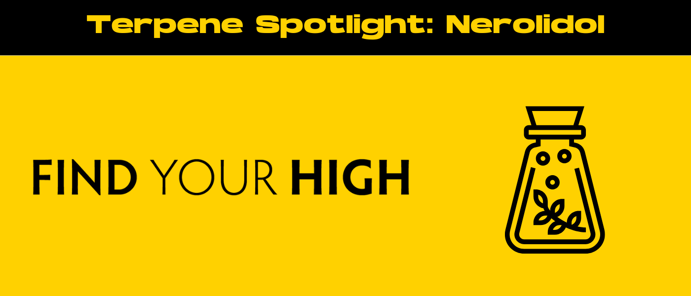 black and yellow banner image for nerolidol terpene blog