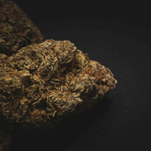 up close image of dried flower against black background