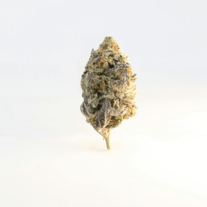 single nug against white background