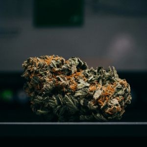 cannabis flower in front of monitor