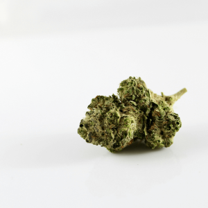 small cannabis nug against white background