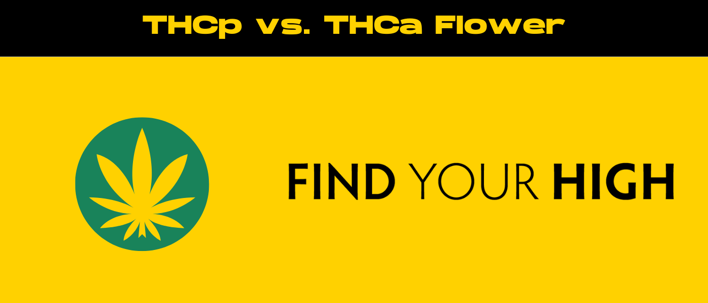 black and yellow banner image for thcp vs thca flower blog