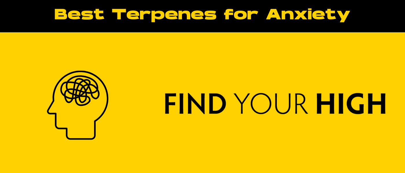 black and yellow banner image for best terpenes for anxiety blog