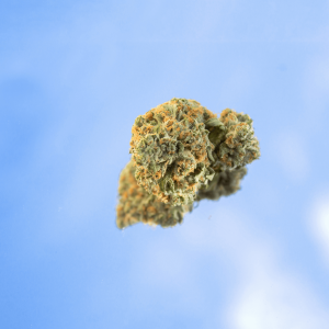 nug against blue sky