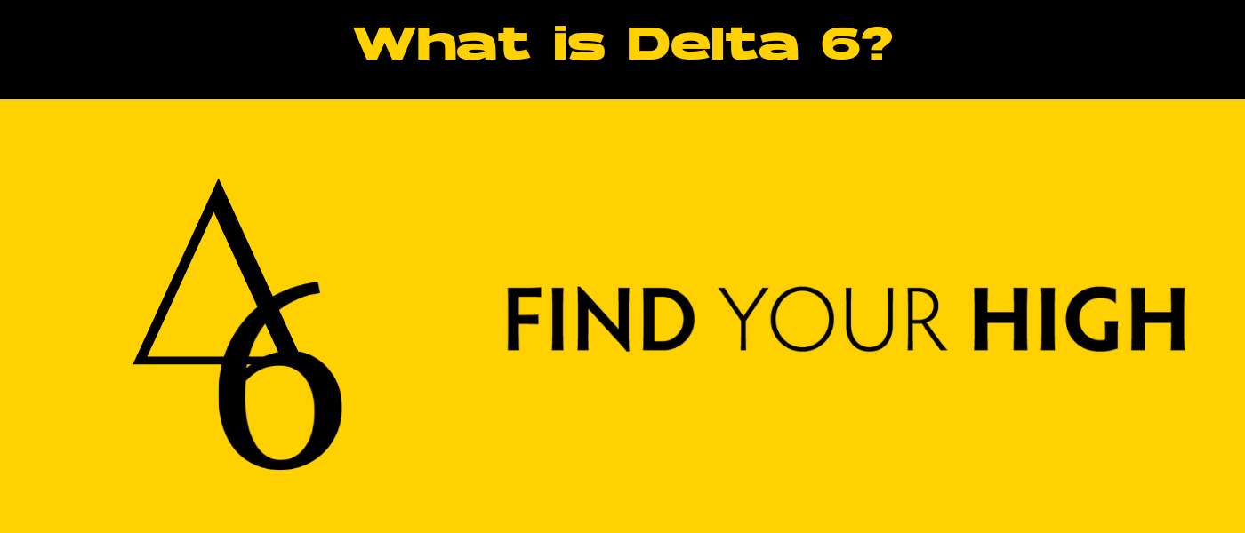 black and yellow banner image for what is delta 6 blog