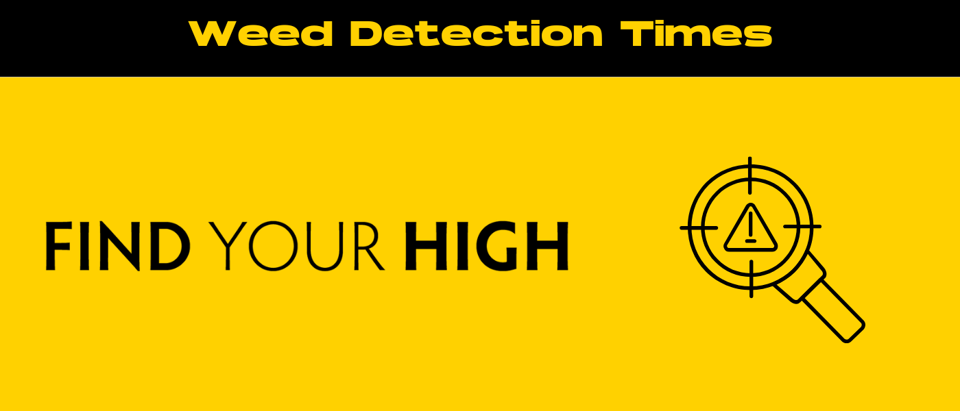 black and yellow banner image for how long does weed pen stay in pee blog